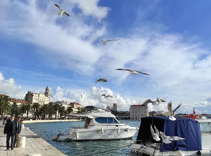 Apartman Deluxe Pervan *